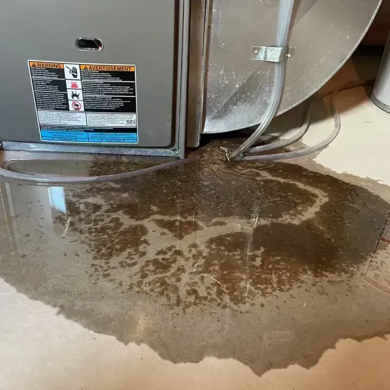 Appliance Leak Cleanup in Onarga, IL